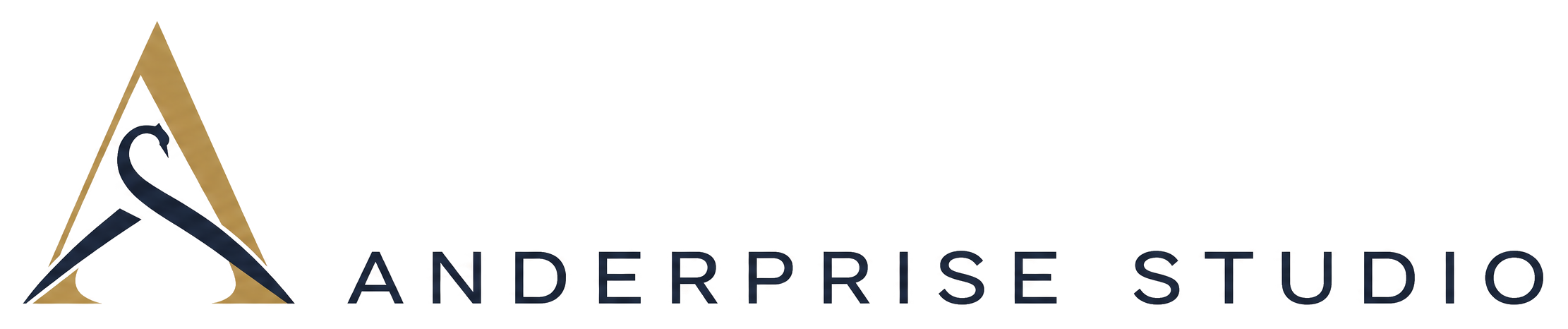 Anderprise Studio